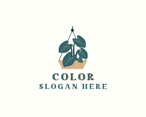 Specialty Store - Hanging Indoor Plant Pot logo design