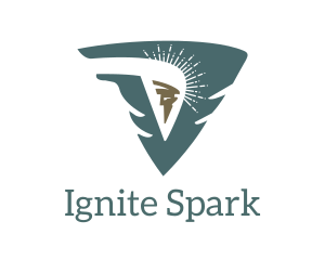 Spark - Torch Spark Shield logo design