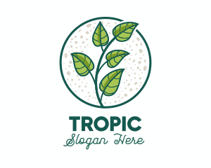 Green Tropical Leaves logo design