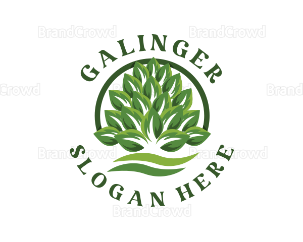 Organic Leaves Farm Logo
