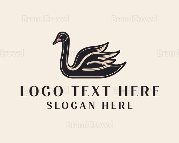 Elegant Swan Birdwatching Logo