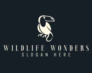 Zoology - Toucan Bird Wildlife logo design