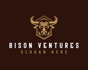 Bull Horn Ranch logo design