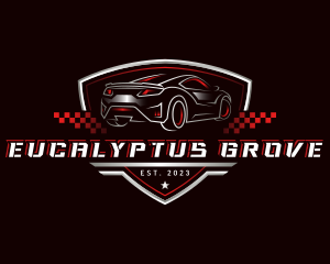 Garage Car Detailing logo design