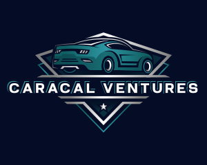 Automotive Detailing Garage logo design