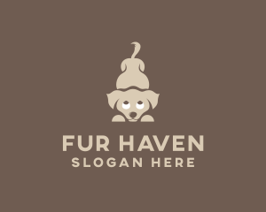 Dog Pet Veterinary logo design