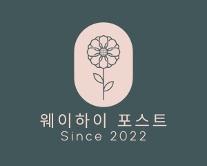 Daisy Flower Garden logo design