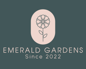 Daisy Flower Garden logo design