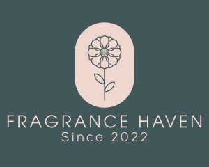 Daisy Flower Garden logo design