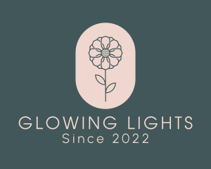 Daisy Flower Garden logo design