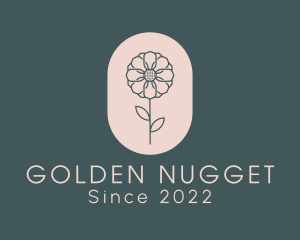 Daisy Flower Garden logo design