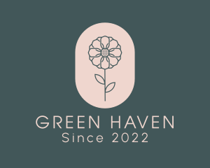 Garden - Daisy Flower Garden logo design