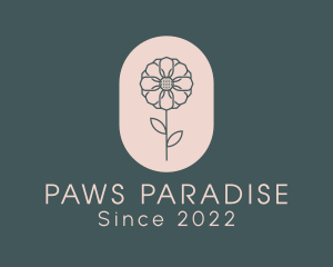 Daisy Flower Garden logo design