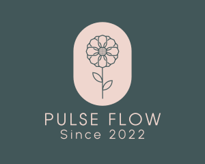 Daisy Flower Garden logo design