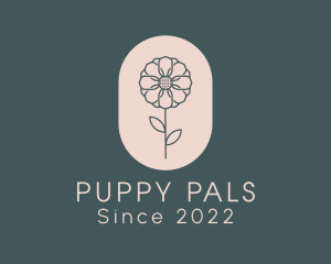 Daisy Flower Garden logo design