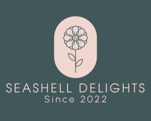 Daisy Flower Garden logo design