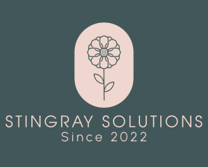 Daisy Flower Garden logo design