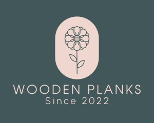 Daisy Flower Garden logo design