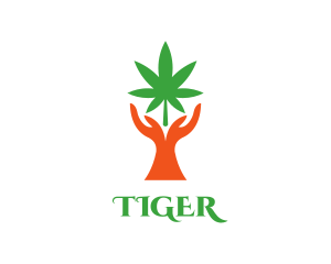 Cannabis Plant Hands Logo