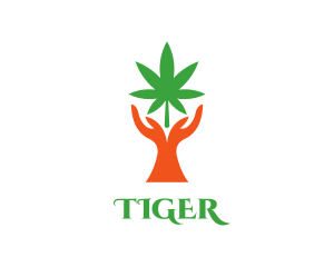 Cbd - Cannabis Plant Hands logo design