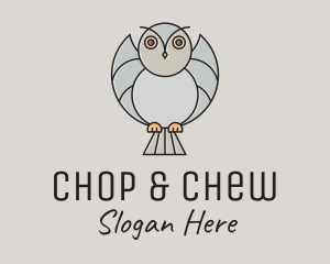 Tutorial Center - Flying Owl Cartoon logo design