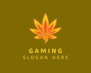 Marijuana Leaf Flame  Logo
