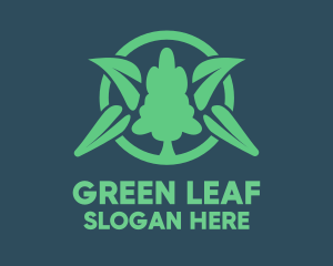 Botany - Eco Tree Leaf logo design