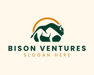 Bison Mountain Adventure logo design