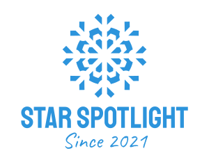 Blue Cooling Ice Snowflake  logo design