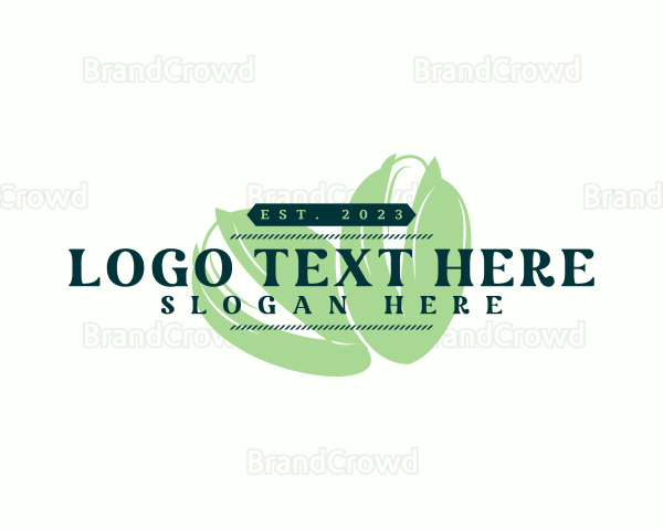 Organic Pistachio Snack Logo