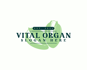 Organic Pistachio Snack logo design