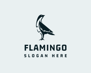 Wild Bird Animal Logo