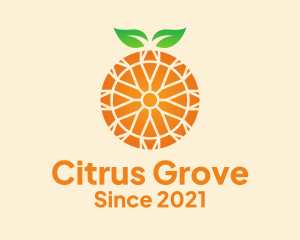 Citrus - Orange Citrus Fruit logo design