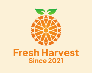 Orange Citrus Fruit  logo design