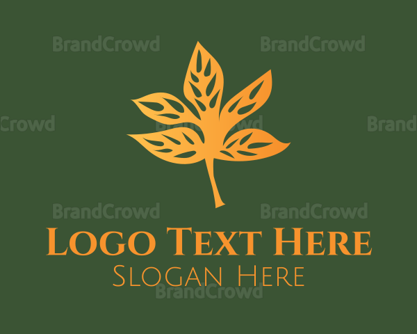 Orange Fall Leaf Logo