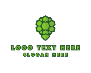 Zoo - Turtle Shell Protection logo design