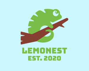 Lizard - Cute Green Chameleon logo design