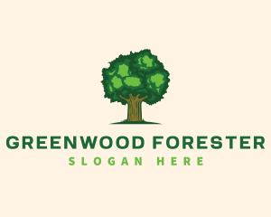 Environment Oak Tree Nature logo design