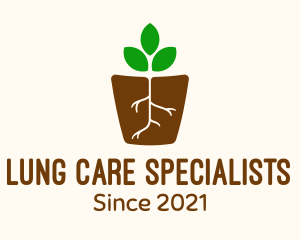 Root Pot Plant logo design