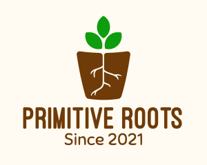 Root Pot Plant logo design