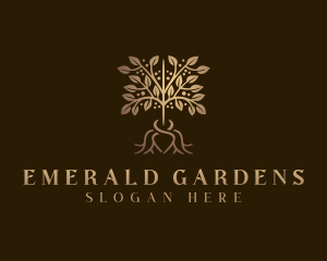 Environmental Botanical Tree  logo design