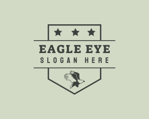 Eagle Air Force Soldier logo design