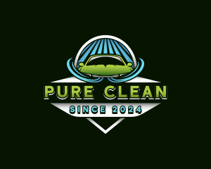 Car Wash Cleaning logo design