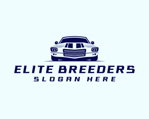 Car Transportation Detailing logo design