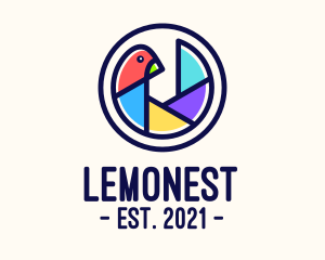 Dslr - Colorful Bird Camera Shutter logo design