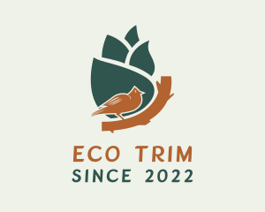 Bird Eco Park  logo design