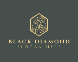 Premium Tree Orchard logo design