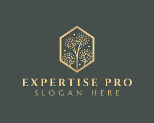 Premium Tree Orchard logo design