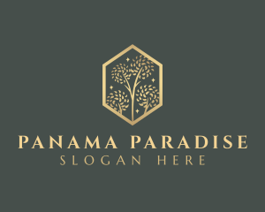 Premium Tree Orchard logo design