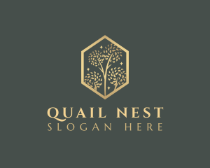 Premium Tree Orchard logo design